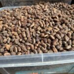 peve - avec san la peau 1kg